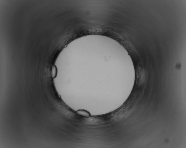 X0000100840614200807180922