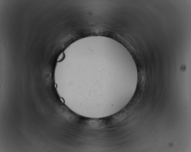 X0000100840615200807180922