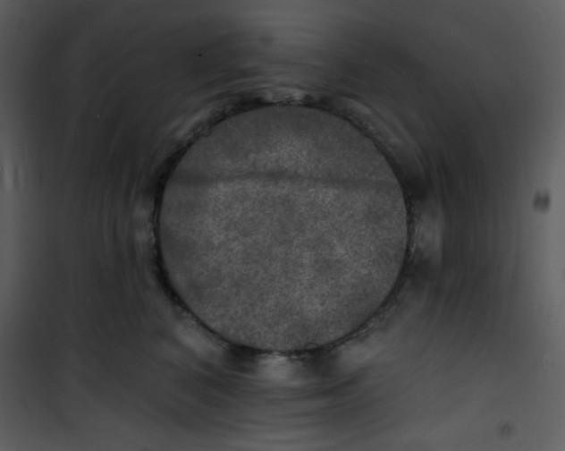 X0000100840616200807180922