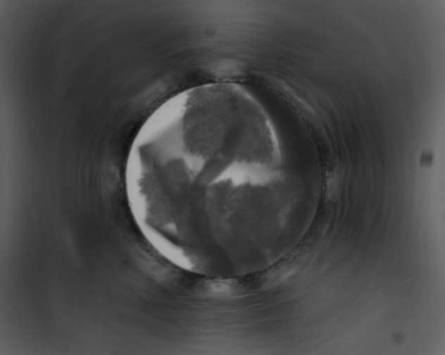 X0000100840618200807180922