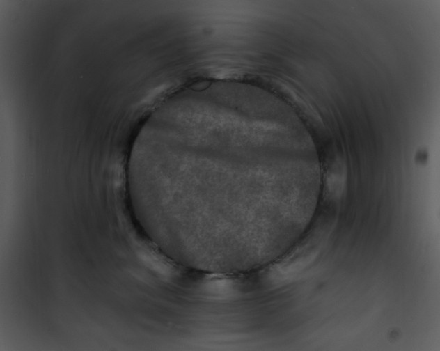 X0000100840620200807180922