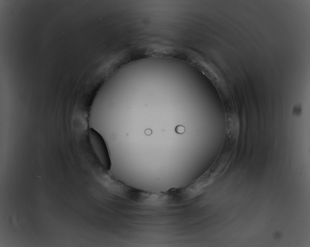 X0000100840621200807180921