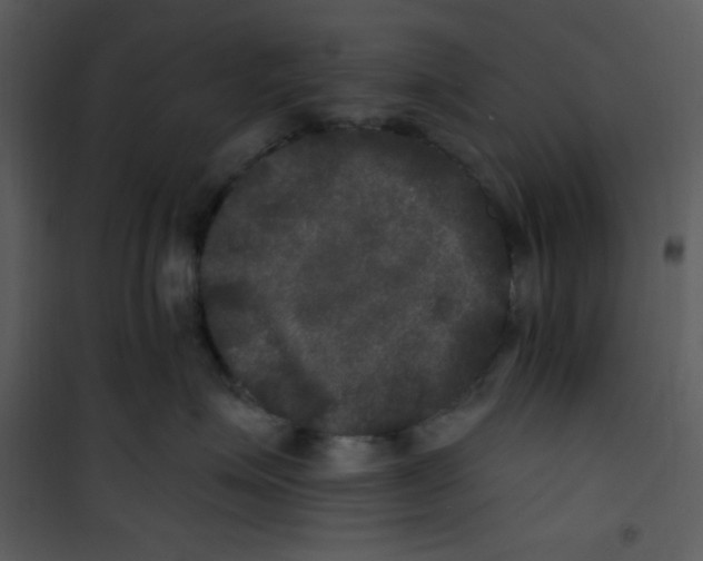 X0000100840623200807180921