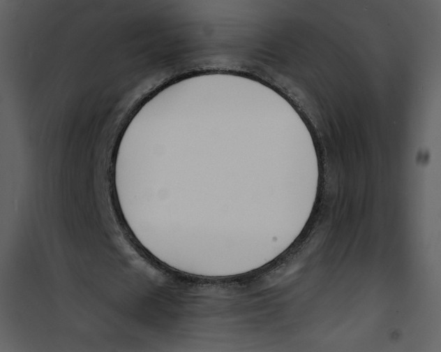 X0000100840625200807180921