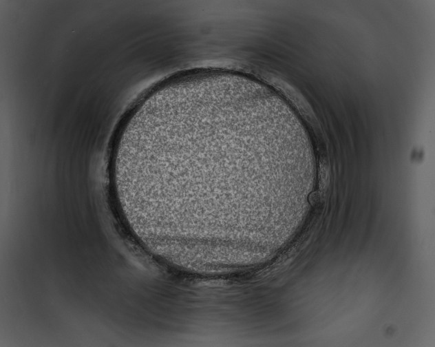 X0000100840628200807180921