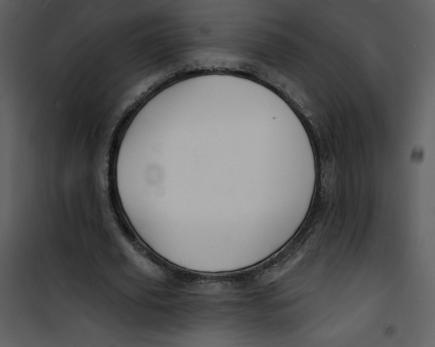 X0000100840629200807180921