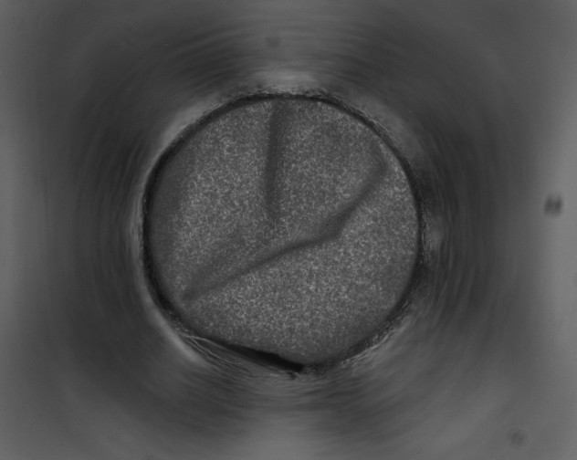 X0000100840630200807180921