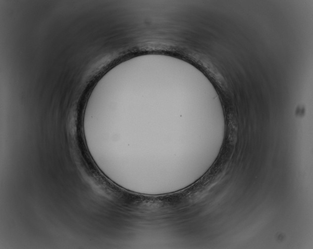 X0000100840631200807180921