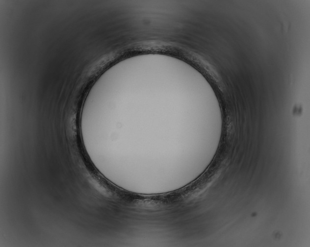 X0000100840633200807180921