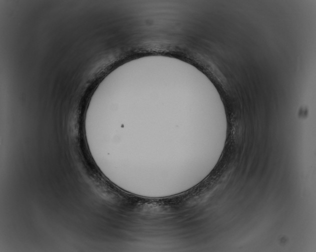 X0000100840635200807180921