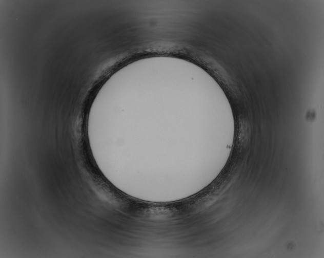 X0000100840636200807180921