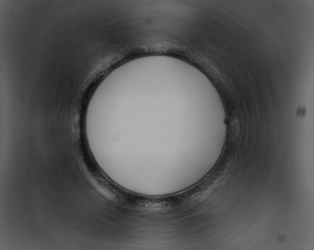 X0000100840638200807180921