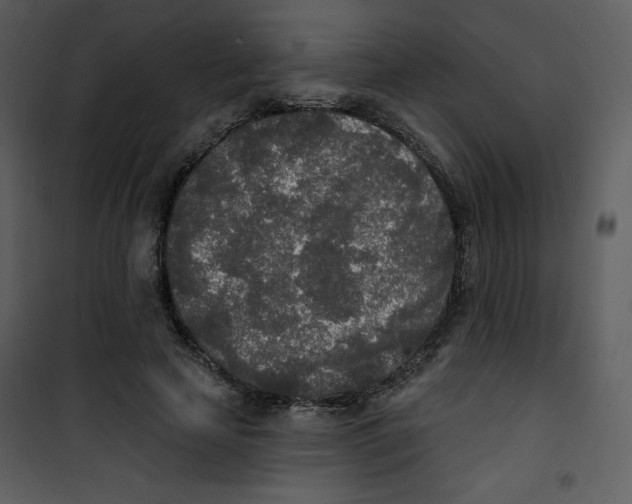 X0000100840641200807180921