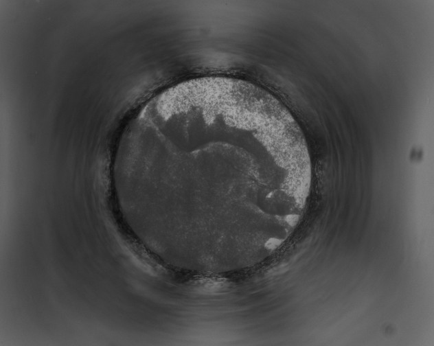 X0000100840642200807180921