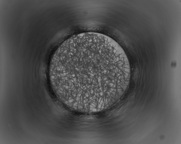 X0000100840643200807180921