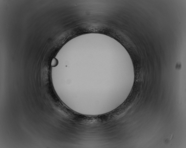 X0000100840646200807180921