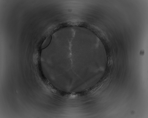 X0000100840647200807180921