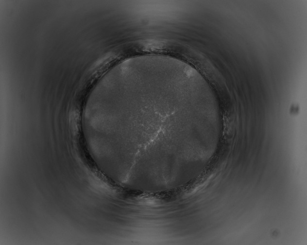 X0000100840648200807180921