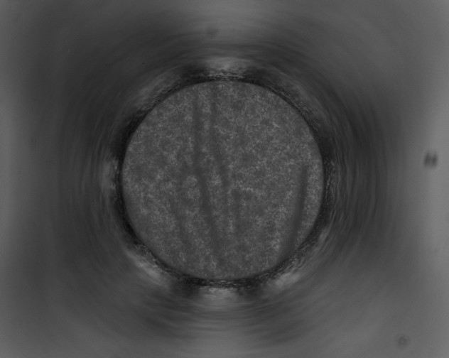 X0000100840649200807180921