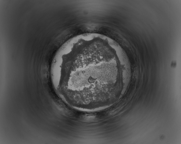 X0000100840651200807180921