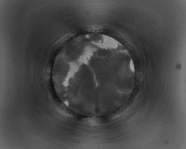 X0000100840652200807180921