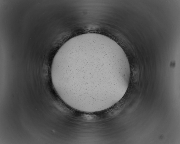 X0000100840654200807180921