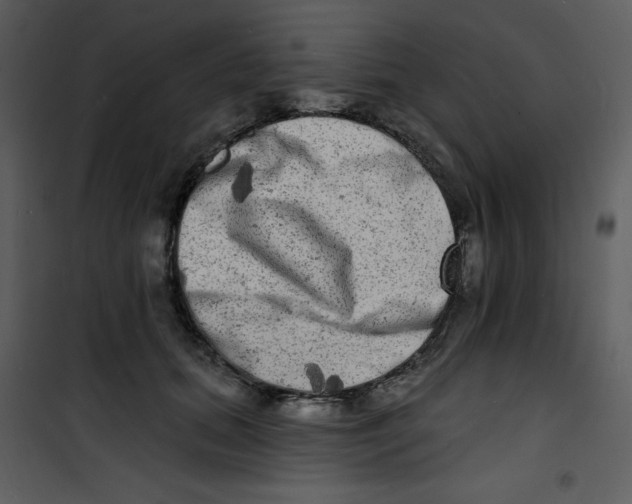 X0000100840655200807180921