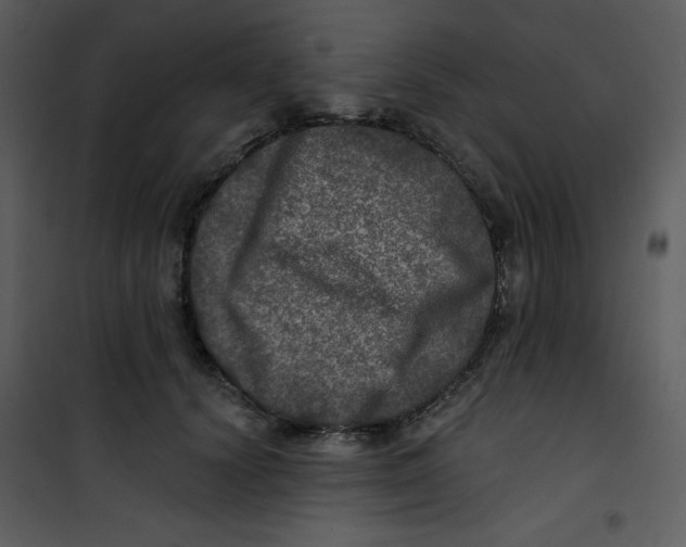 X0000100840656200807180921