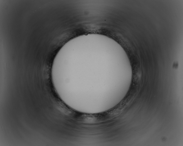 X0000100840658200807180921