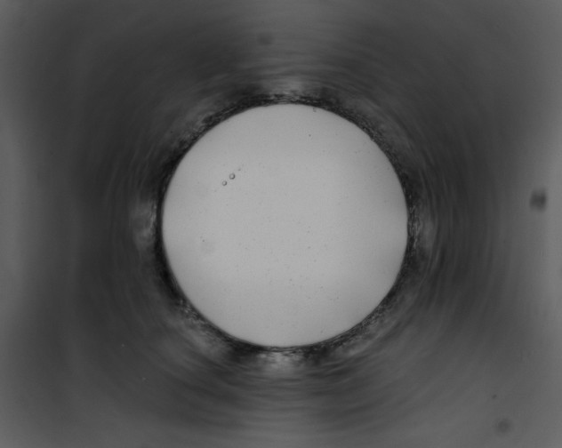 X0000100840660200807180921