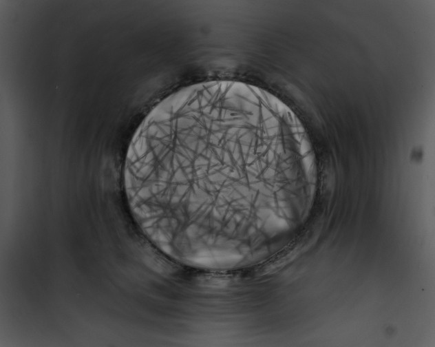 X0000100840661200807180921