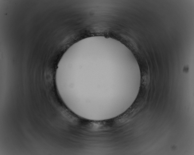 X0000100840662200807180921