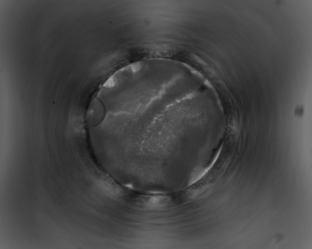 X0000100840663200807180921