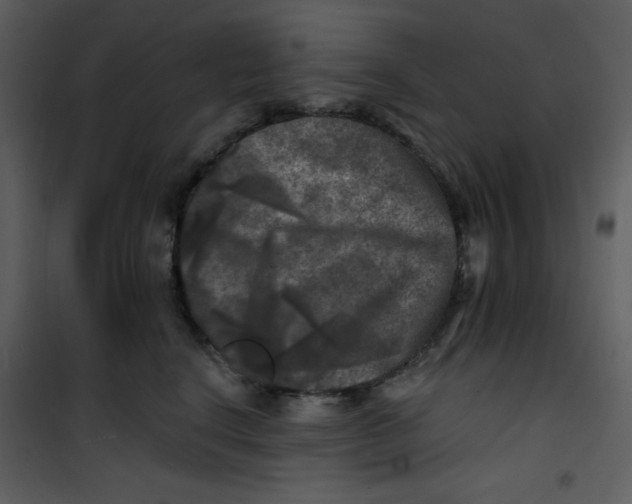 X0000100840664200807180921