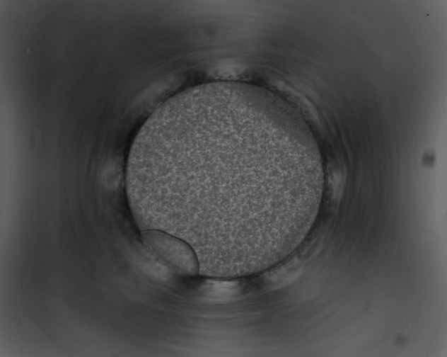 X0000100840665200807180921