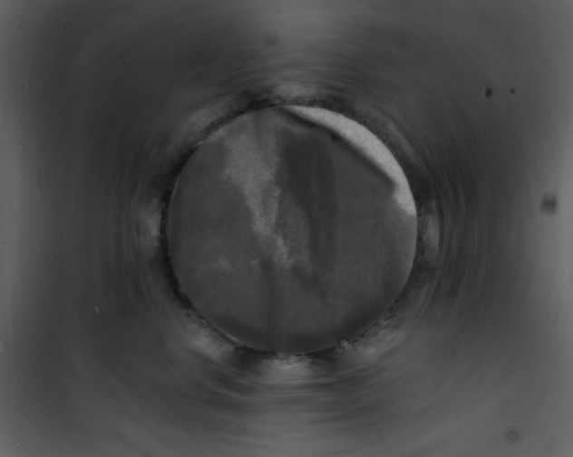 X0000100840668200807180921