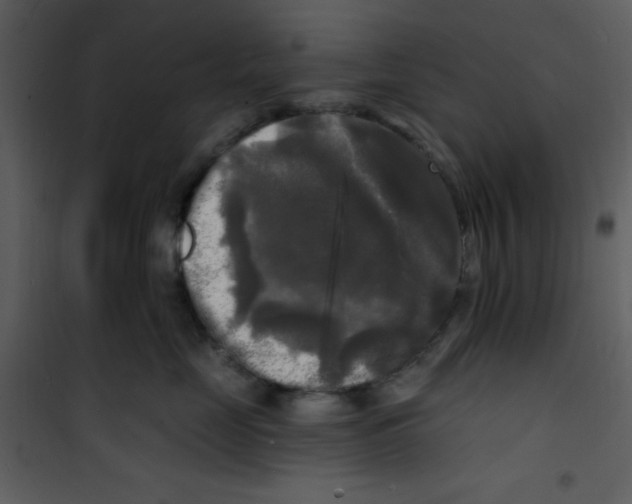 X0000100840669200807180921