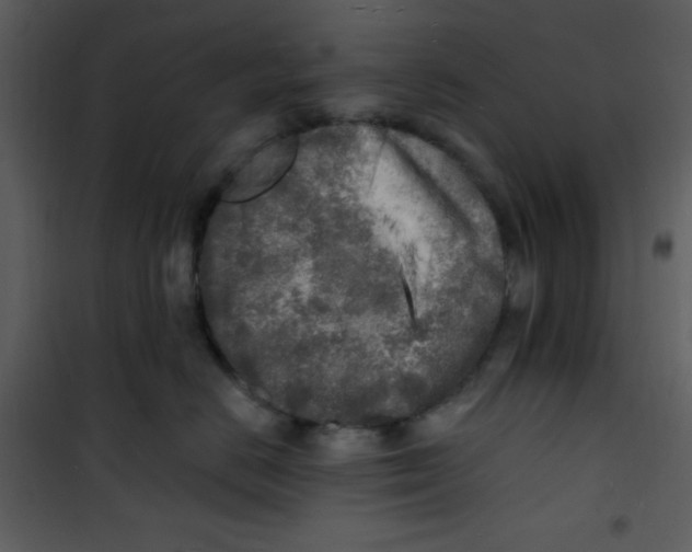 X0000100840670200807180921