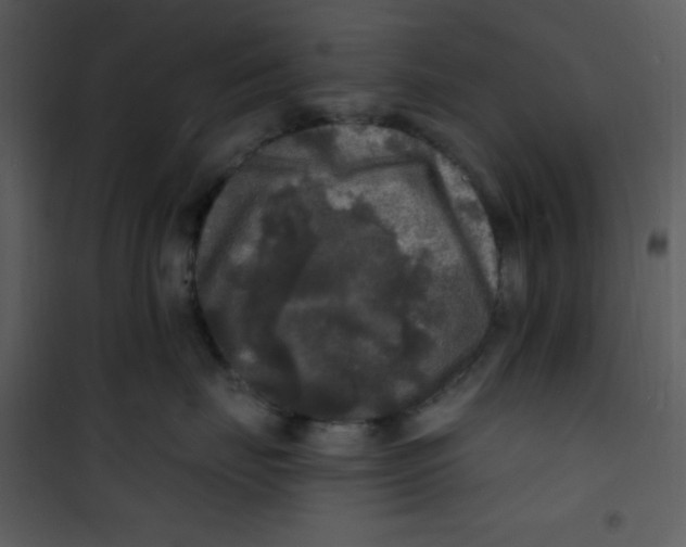 X0000100840671200807180921