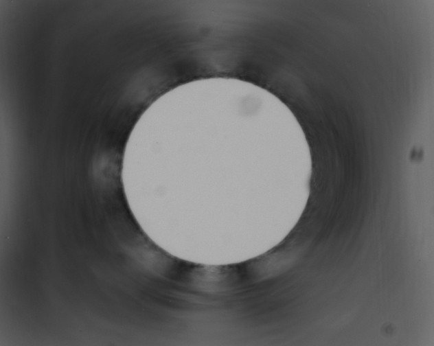 X0000100840672200807180921