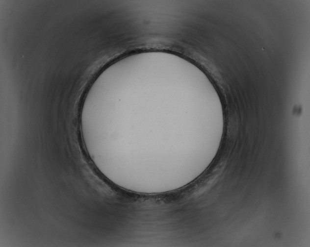 X0000100840673200807180921