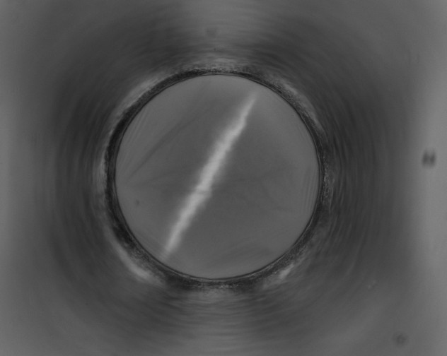 X0000100840674200807180921