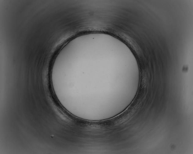 X0000100840677200807180921