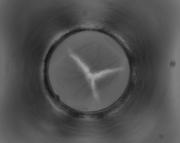 X0000100840678200807180921