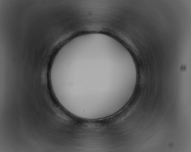 X0000100840681200807180921