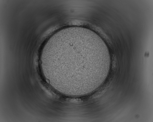 X0000100840683200807180921