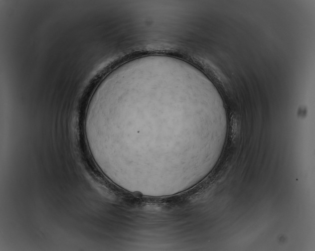 X0000100840684200807180921