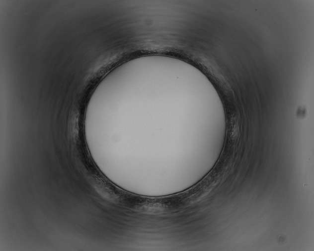 X0000100840685200807180921