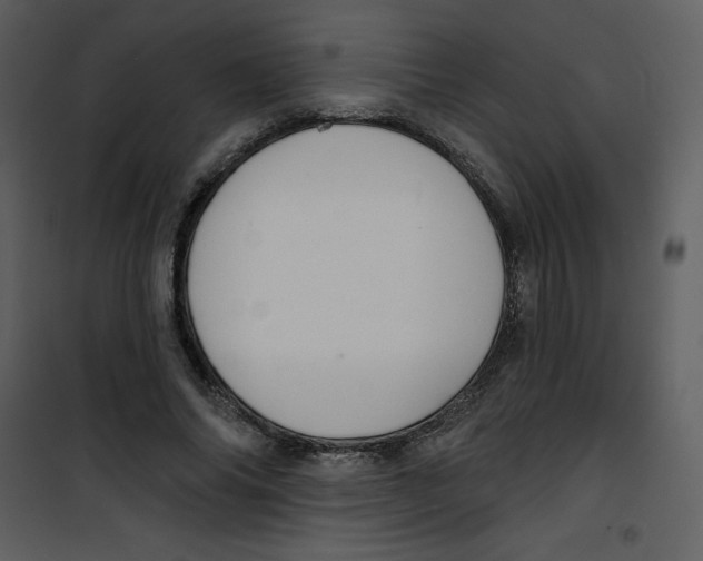 X0000100840686200807180921