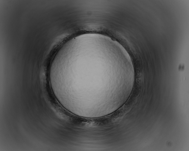 X0000100840688200807180921